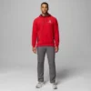 Herren-Fleece-Hoodie Collegiate Flanker™ – Wisconsin